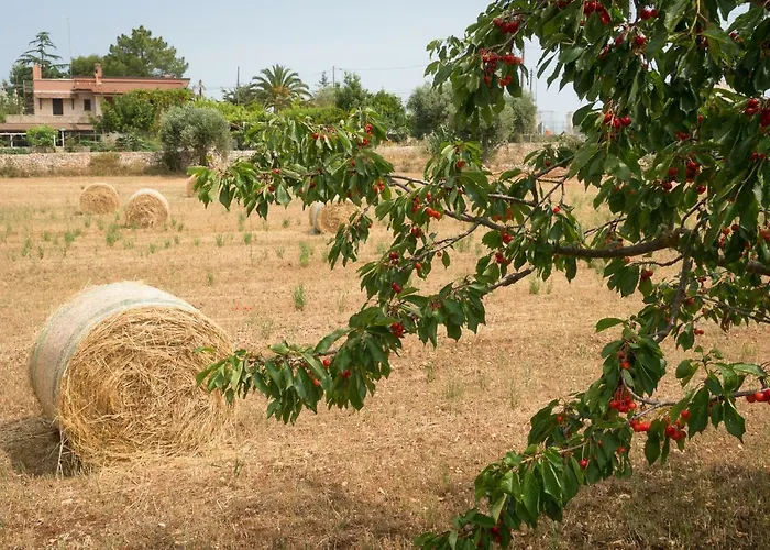 Margherita Hébergement de vacances Polignano a Mare